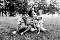 family 24-4133